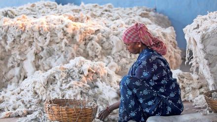 Produktion zurückverfolgen. Eine Frau sortiert Baumwolle im indischen Kolkata. 
