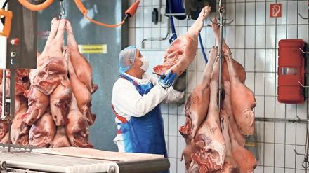 Eine Million schlachtreife Schweine, so befürchten die  Bauern, könnten Ende des Jahres in den Ställen stehen, weil zu wenig geschlachtet wird. 