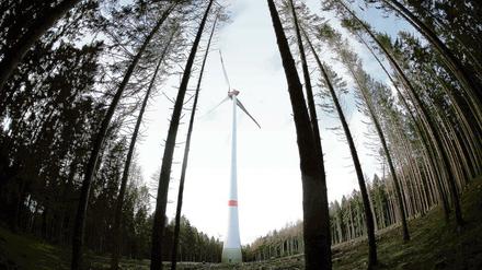 Energiebaum. Ein Windrad steht im Wald Peterberg bei Vossenack. Auch in Nordrhein-Westfalen ist der Bau von Windrädern in Wäldern umstritten.