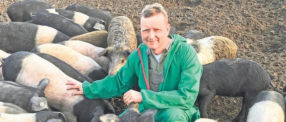 Michael Staar und seine Schweine: Die Tiere leben ausschließlich im Freien, doch nicht mehr lange. 