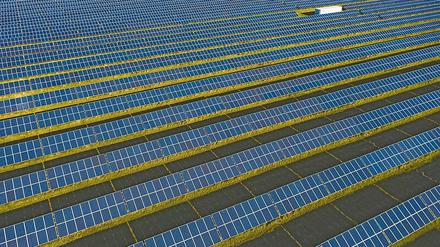 Ökologischer Umbau. EnviaM investiert in fünf neue Solarparks.