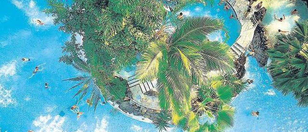 Badeparadies mit Palmen. Viele Ferienparks schmücken ihre Schwimmbäder mit üppigem Grün. Foto: ddp