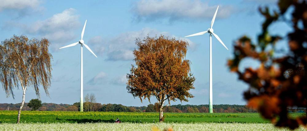 Derzeit stockt der Ausbau der Windenergie an Land 