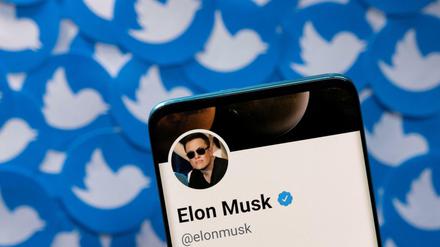 Elon Musks Twitter-Profil