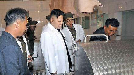 Nordkoreas Diktator Kim inspiziert eine Schweineverarbeitung. 