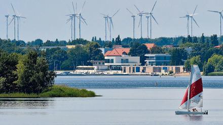Brandenburger Idylle. Seit den 1970er Jahren existiert der Senftenberger See. Zuvor wurde dort Braunkohle abgebaggert.