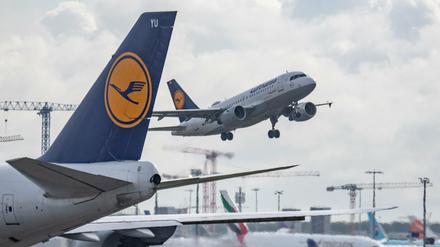 Hessen, Frankfurt/Main: Eine Passagiermaschine der Lufthansa landet auf dem Flughafen Frankfurt. Wegen der aktuellen Abfertigungsprobleme streicht die Lufthansa weitere Flüge.