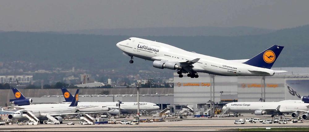 Jumbos mit Biosprit - das wird es bei Lufthansa erst einmal nicht mehr geben.