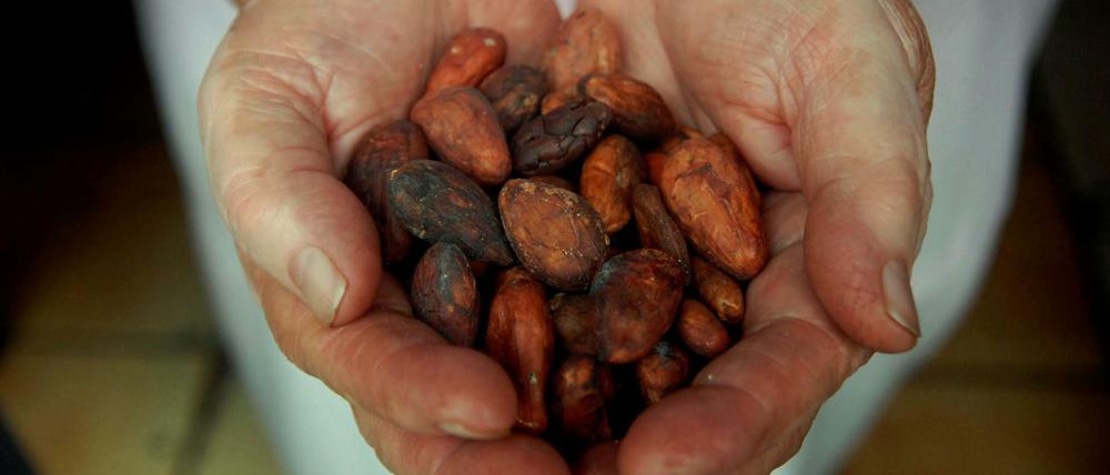Das aktuelle Durchschnittseinkommen von Kakaobauern beträgt 0,78 Dollar. 