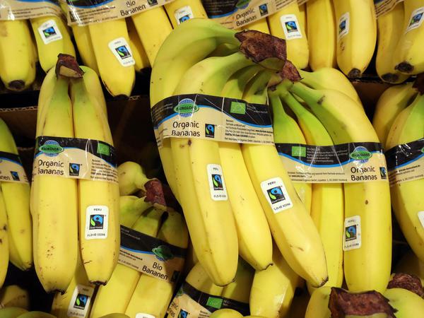 Auch Bio-Bananen sind von dem Pilzbefall betroffen. 