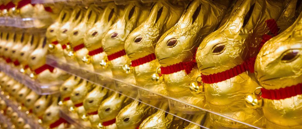Hunderte Schokoladen-Osterhasen warten in einem Supermarktregal auf die Kunden.