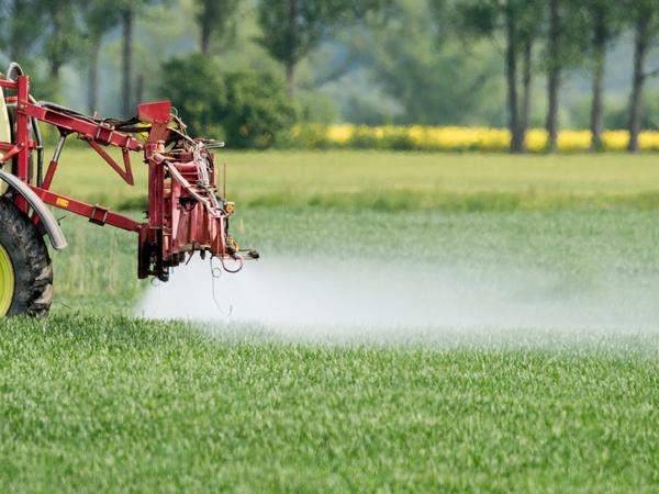 Ein Landwirt fährt mit einer Dünger- und Pestizidspritze über ein Feld mit jungem Getreide nahe Neuranft im Oderbruch (Brandenburg). Die Intensivlandwirtschaft belastet das Grundwasser. 