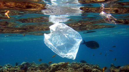 Plastiktüten und anderer Kunststoff verschmutzen die Weltmeere.