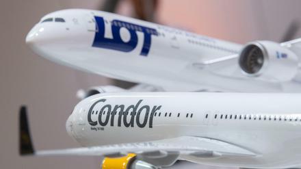 Die polnische Fluglinie Lot verzichtet auf den geplanten Kauf des Ferienfliegers Condor. 