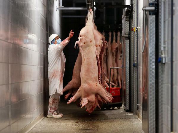 China macht dicht: Wegen der Afrikanischen Schweinepest darf kein deutsches Schweinefleisch ins Land. 