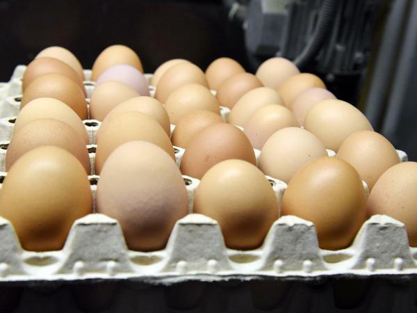 Tierische Produkte sollen teurer werden, das betrifft auch Eier.  