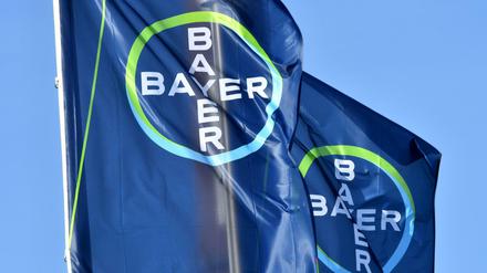 Das Bayer-Logo auf zwei Fahnen.