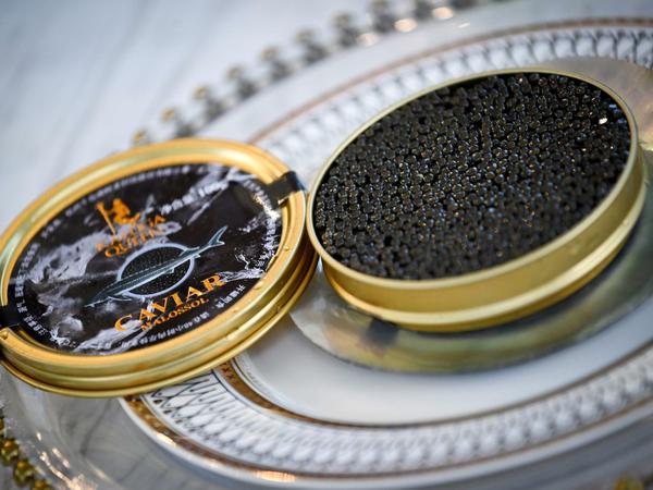 Teure Delikatesse: Für Kaviar sind Feinschmecker bereit, tief in die Tasche zu greifen. Die weiblichen Störe bezahlen die Entnahme der Eier mit ihrem Leben. 