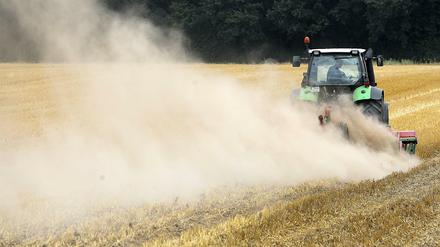 Ein Landwirt fährt mit einer Egge am Traktor über sein Feld und zieht eine Staubwolke hinter sich her. Die anhaltende Trockenheit bereitet den Bauern erhebliche Probleme.