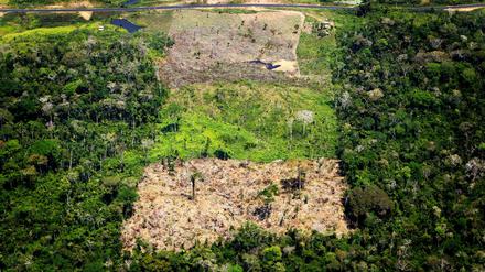  Luftaufnahme eines abgeholzten Gebiets im Amazonas-Regenwald in Acre, Brasilien.