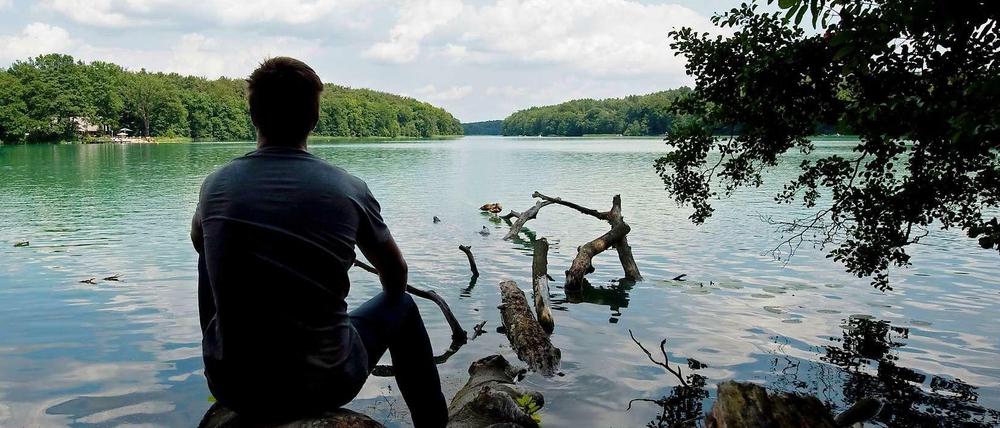 Ein Mann sitzt nahe dem brandenburgischen Wandlitz am Ufer des Liepnitzsees auf einem Baumstamm. Noch ist am Horizont kein Windrad zu sehen.