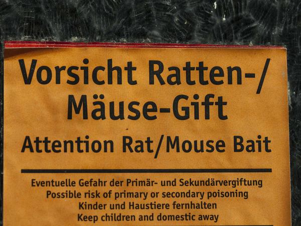 Gift für die Mäuse: Die Bauern möchten jetzt Köder auslegen, doch das Gift könnten auch andere Tiere fressen. 