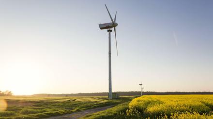 Windrad auf Rügen. Alternative Energien und Tourismus sind zwei der Zukunftsbranchen in den ostdeutschen Bundesländern. 