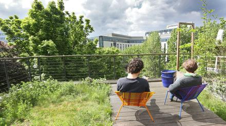 Nur ideelle Unterstützung will das Land Berlin fürs Anlegen von Dachlandschaften wie auf diesem Öko-Haus des Architekten Frei Otto in Berlin geben.
