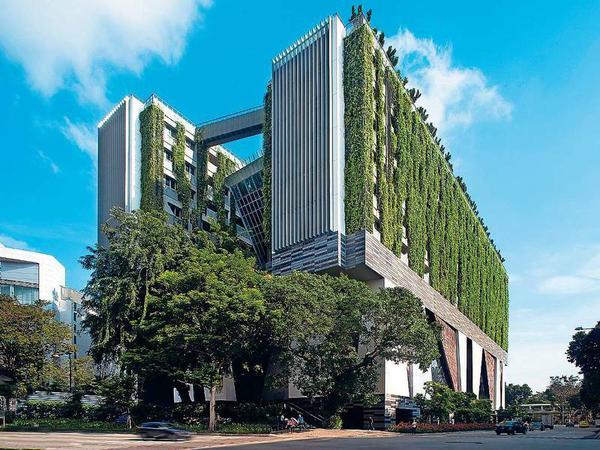 Die School of the Arts in Singapur mit der "lebenden" Fassade.