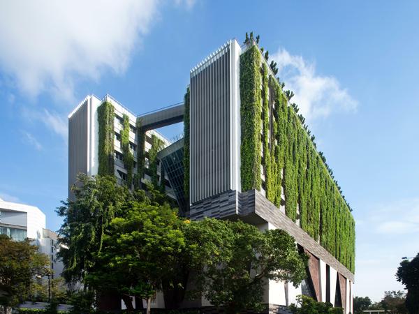 Die vertikale Wiese. Begrünte Fassaden aus Singapur machen Schule. Im Bild die dortige School of the Arts. 