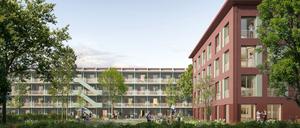 In Potsdam sollen bis Mitte nächsten Jahres zwei bis zu viergeschossige Häuser mit einmal 22 und einmal bis zu 70 Wohnungen auf zwei heutigen Garagenstandorten in der Gluckstraße und am Patrizierweg errichtet werden.