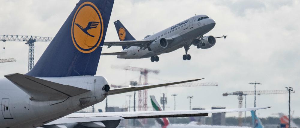 Eine Passagiermaschine der Lufthansa landet auf dem Flughafen Frankfurt.