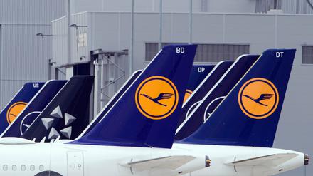 Flugzeuge der Fluggesellschaft Lufthansa stehen am Rand des Rollfeldes nebeneinander.