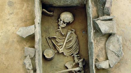 Das Grab einer jungen Frau aus der spätsteinzeitlichen "Glockenbecher"-Kultur in Rothenschirmbach in Sachsen-Anhalt.