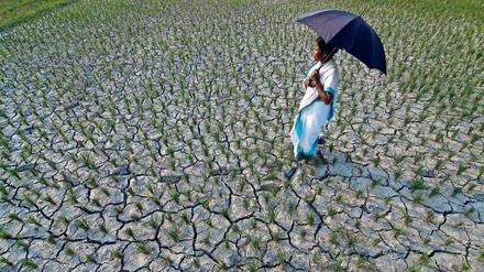 Hitzewellen, wie hier im Jahr 2015 in Indien gefährden Menschen direkt, können aber auch zu Ernteausfällen und Mangelernährung führen.