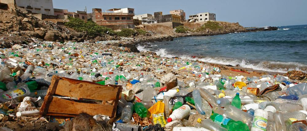 Plastikmüll in den Meeren. schadet Tier und Umwelt. 