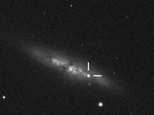 2014 beobachtete Supernova in der Spiralgalaxie Messier 82. 