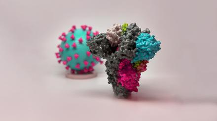 Selbstverteidigung: So modellhaft wie bei diesen Modellen  von Virus und dieses Virus und seinen Spike-Proteine bekämpfenden Antikörpern geht es in Wirklichkeit nicht immer zu.