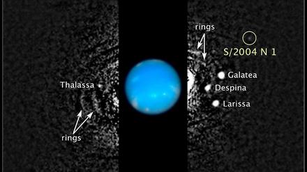 Das zusammengesetzte Bild zeigt die Lage des neu entdeckten Mondes S/2004 N 1, der Neptun umkreist. Die Schwarzweiß-Aufnahme wurde 2009 mit dem Weltraumteleskop "Hubble" gemacht. Das Farbfoto des Planeten wurde ebenfalls 2009 von Hubble aufgenommen. 