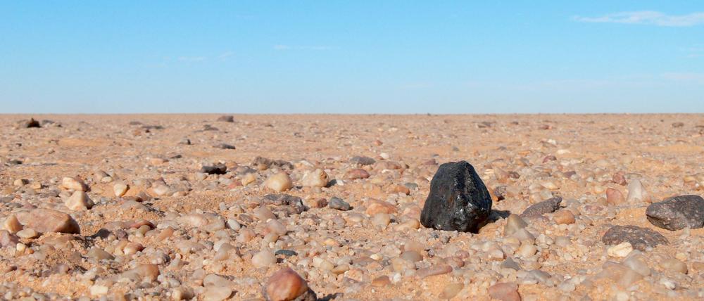 Bruchstück (schwarz) des Meteoriten "2008 TC3", der vor knapp zehn Jahren in der Nubischen Wüste einschlug, und von den Urplaneten im frühen Sonnensystem zeugt. 