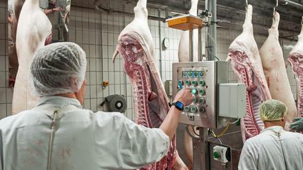 Arbeit im Schlachthof: Hygienemaßnahmen sollen Verschmutzung der Fleischprodukte verhindern.