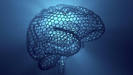 Das in transparenten Waben dargestellte menschliche Hirn als Symbolbild für Künstliche Intelligenz.