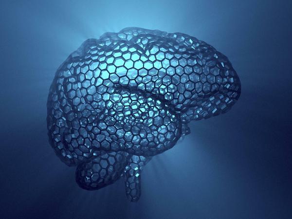 Das in transparenten Waben dargestellte menschliche Hirn als Symbolbild für Künstliche Intelligenz.