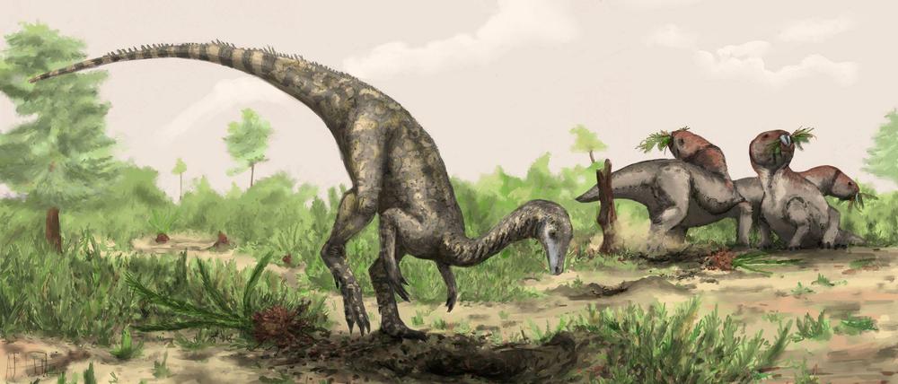 Viel Phantasie. Anhand weniger Knochenfunde schuf der Künstler diese Darstellung des Nyasasaurus (links). So könnte er ausgesehen haben - oder auch ganz anders. 