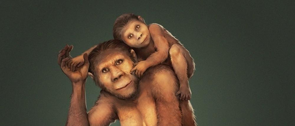 Die Kinder von Australopithecus africanus wurden nach ihrer Geburt etwa 12 Monate gestillt - bei mangelndem Nahrungsangebot auch länger.