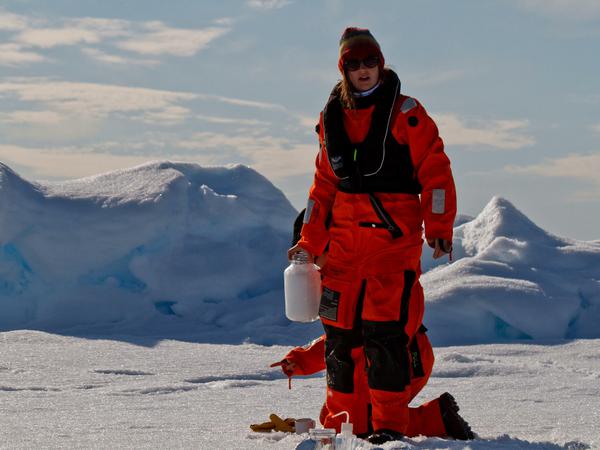 Die AWI-Forscher wussten, dass in der Arktis (noch) reichlich Schnee zu finden ist. Wie viel Mikroplastik es dort gibt, wussten sie nicht.