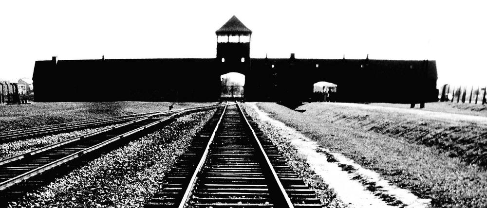 Nach Auschwitz. Viele Mittäter halfen, den Holocaust zu organisieren, wie Hilberg nachwies; so die Reichsbahn. Der Zeitgeist wollte davon nichts wissen. 