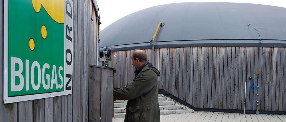Biogas aus Mist und Gülle zu produzieren, sei durchaus sinnvoll, meint die Leopoldina.