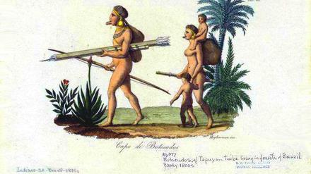Ein Bild des Häuptlings Brasil der Botocudos, eines Eingeborenenstammes in Brasilien, der den Erbgutanalysen zweier Schädel nach polynesischen Ursprungs sein soll.