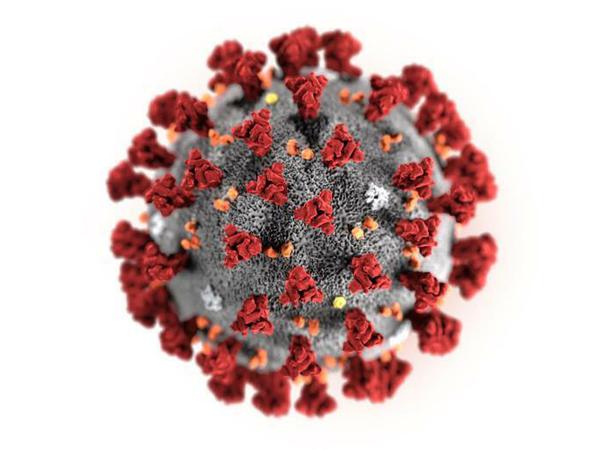 Modell des die Krankheit Covid-19 auslösenden Coronavirus